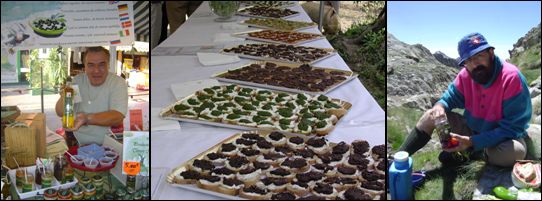 Apéritif - Convivial - Partage - Gastronomie Apéritif - Convivial - Partage - Gastronomie