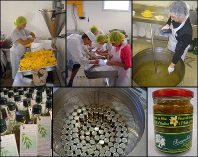 Ateliers de Transformation - Conserverie Artisanale - Sauces & Condiments Bio - Olive de Nice - Agroalimentaire